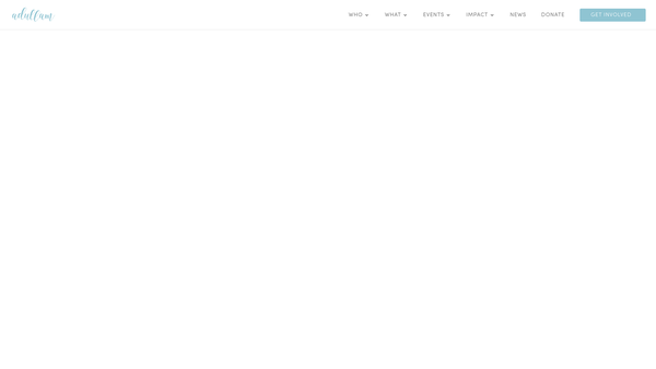 Screenshot of the Adullam Programme website