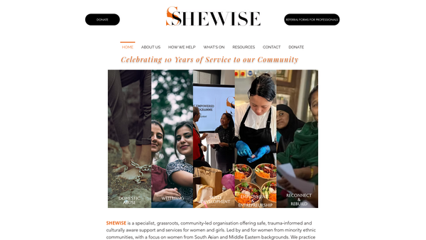 Screenshot of the Shewise website