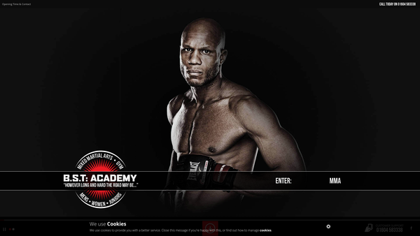 Screenshot of the Bst Mma Academy website