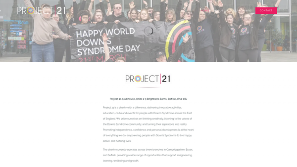 Screenshot of the Project 21 website