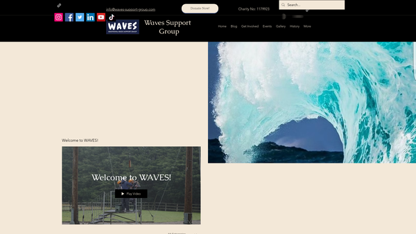 Screenshot of the Waves Additional Needs Support Group website