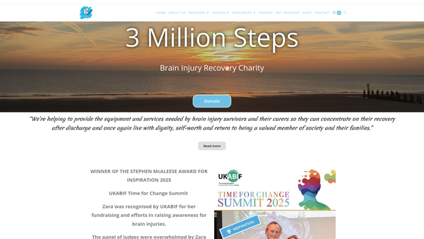 Screenshot of the 3 Million Steps website
