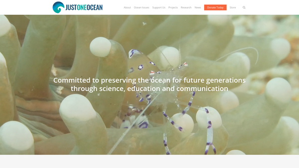 Screenshot of the Just One Ocean website
