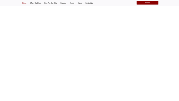Screenshot of the Frontline Children website