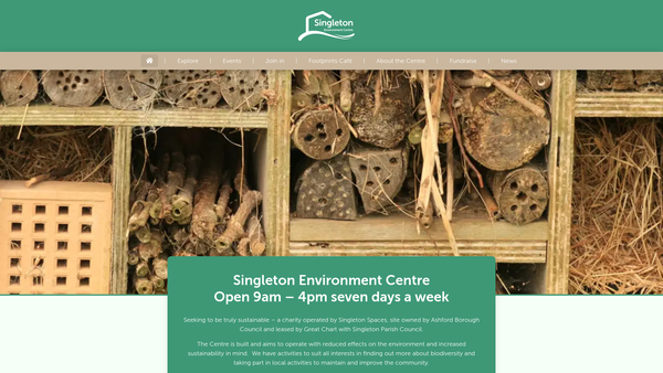 Screenshot of the Singleton Spaces website