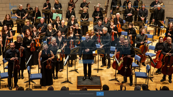 Screenshot of the Bath Symphony Orchestra website
