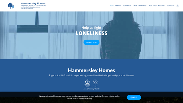 Screenshot of the Hammersley Homes website