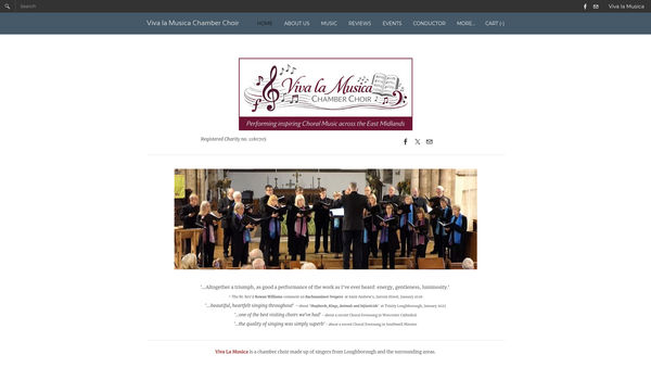 Screenshot of the Viva La Musica website