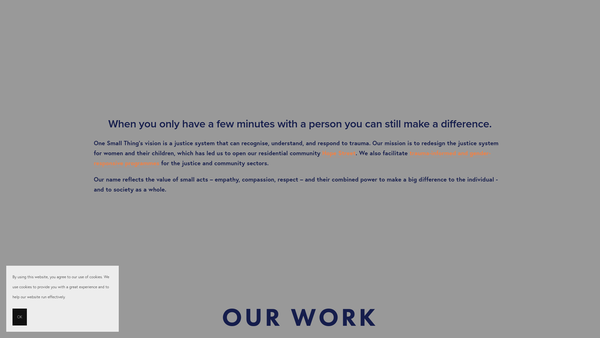 Screenshot of the One Small Thing website