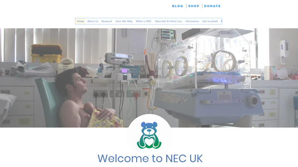 Screenshot of the Nec UK website