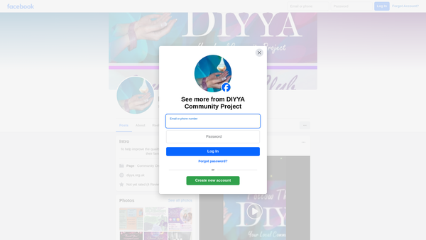 Screenshot of the Diyya website