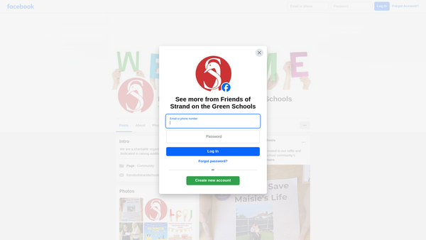 Screenshot of the Friends Of Strand On The Green Schools website