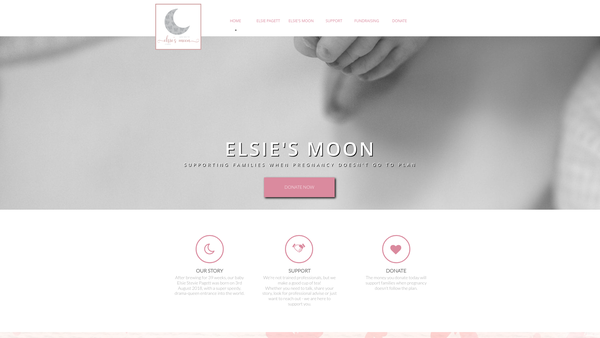 Screenshot of the Elsie's Moon website