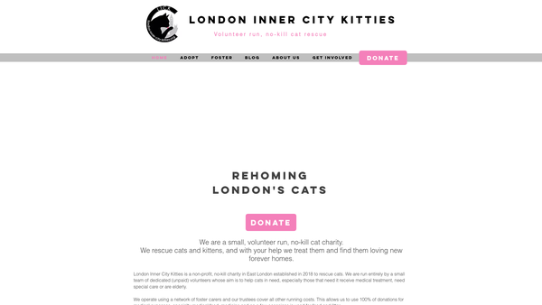 Screenshot of the London Inner City Kitties website