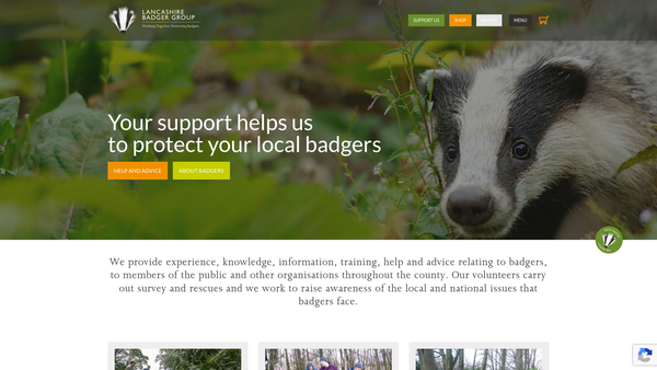 Screenshot of the Lancashire Badger Group website