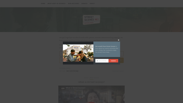 Screenshot of the Street Scenes website