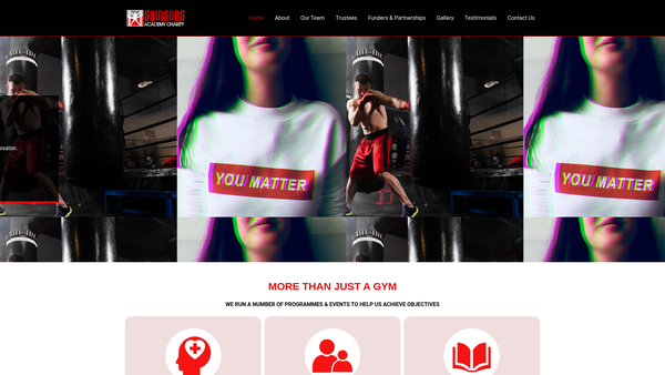 Screenshot of the Samsons Academy website