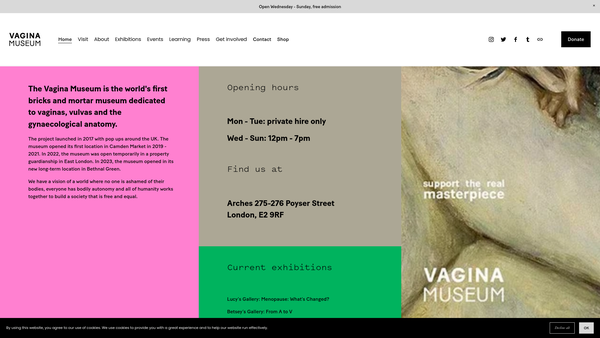 Screenshot of the Vagina Museum website