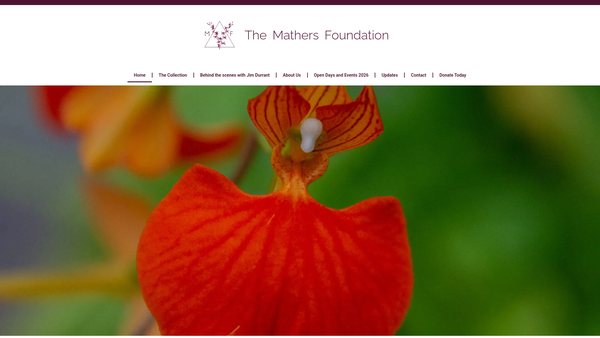 Screenshot of the The Mathers Foundation website