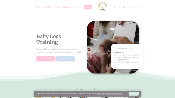 Screenshot of the Beyond Bea Charity website