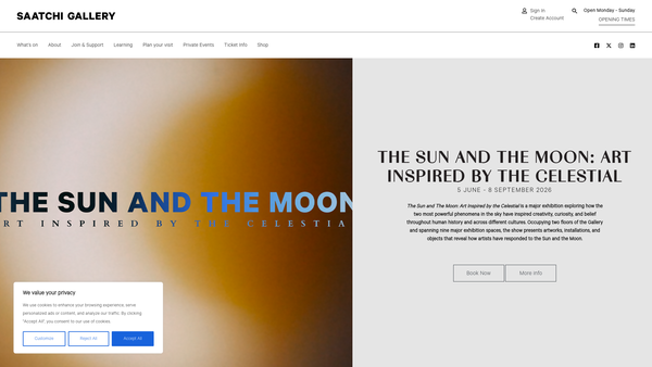 Screenshot of the The Saatchi Gallery, London website