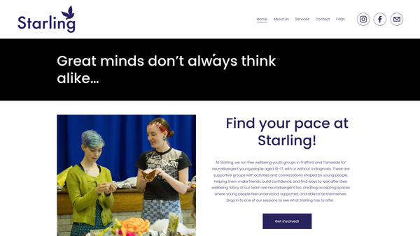 Screenshot of the Starling website