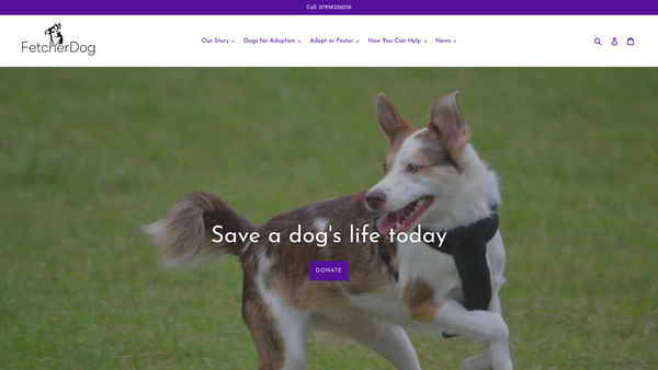 Screenshot of the Fetcher Dog website
