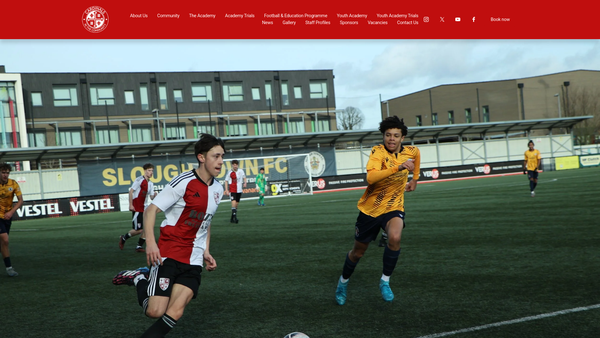 Screenshot of the Cardinals In The Community website