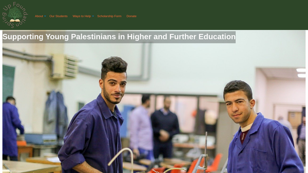 Screenshot of the Spring Up Foundation website
