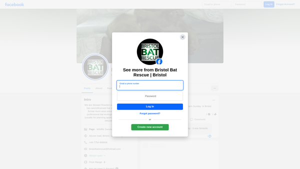 Screenshot of the Bristol Bat Rescue website