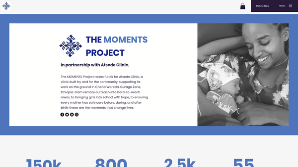 Screenshot of the The MOMENTS Project website