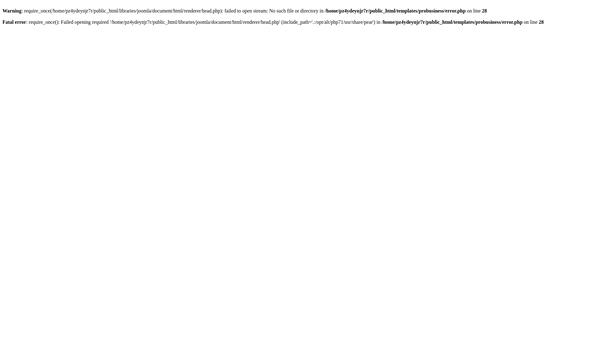 Screenshot of the Bright Future International website