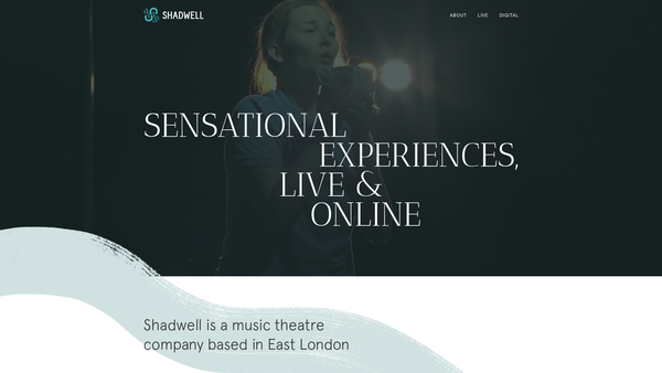 Screenshot of the Shadwell Opera Limited website