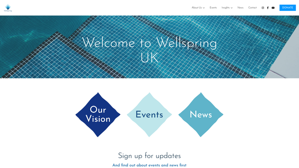 Screenshot of the Wellspring website