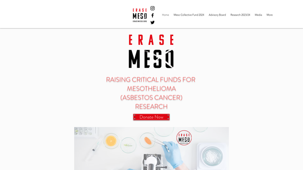 Screenshot of the Erase Meso website