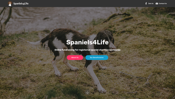 Screenshot of the Spaniels4life Charity Fundraising Group website