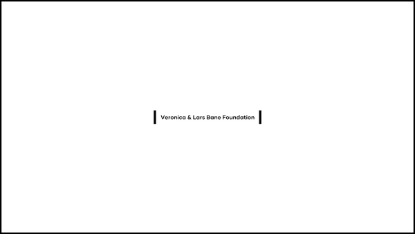Screenshot of the Veronica And Lars Bane Foundation CIO website