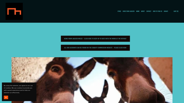 Screenshot of the Jarjeer Mule And Donkey Trust website