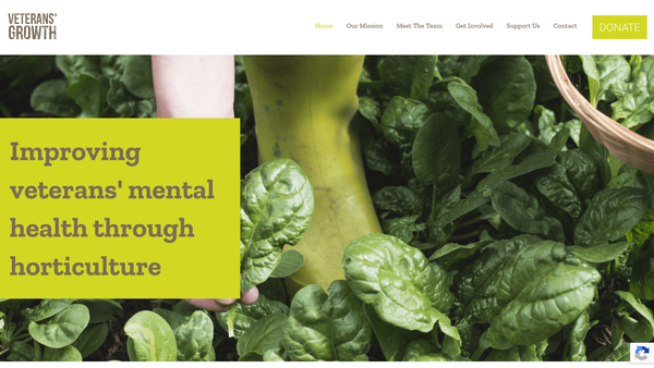 Screenshot of the Veterans' Growth website