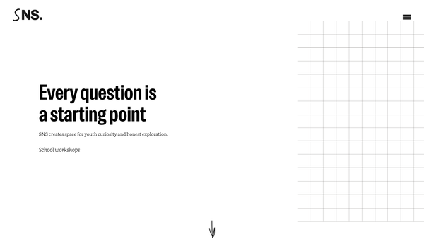 Screenshot of the Solutions Not Sides website