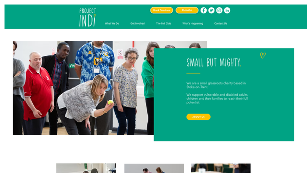 Screenshot of the Project Indi website