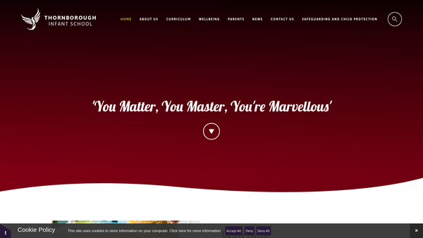 Screenshot of the Friends Of Thornborough School website