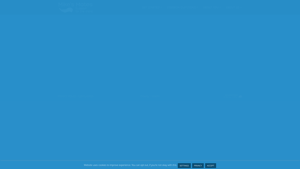 Screenshot of the Mike's Mates Charity website