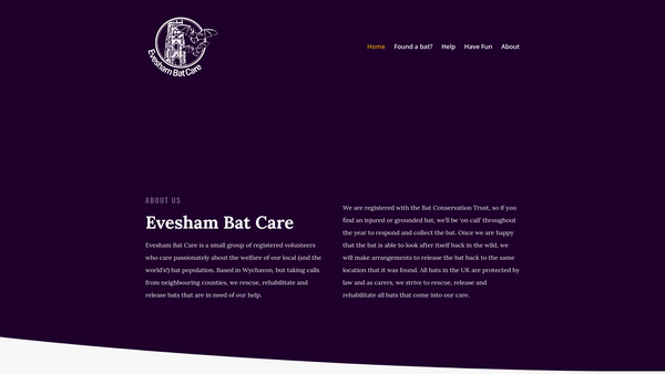 Screenshot of the Evesham Bat Care website