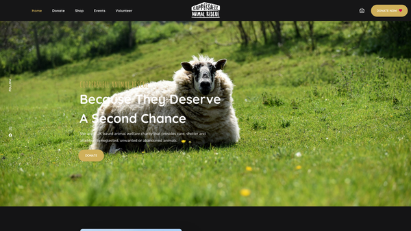 Screenshot of the Coppershell Animal Rescue website