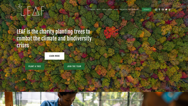 Screenshot of the The Little Environmental Action Foundation website