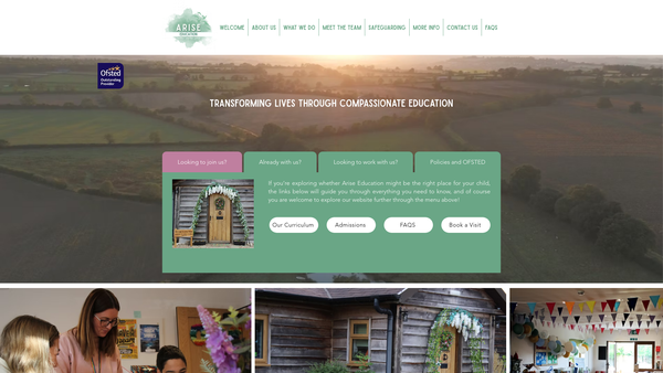 Screenshot of the Arise Education website
