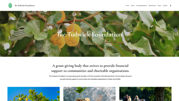 Screenshot of the The Tudwick Foundation website