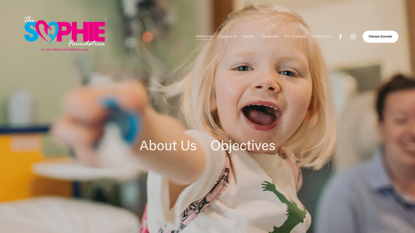 Screenshot of the The Top Model Foundation website