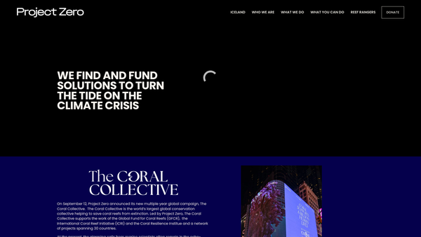 Screenshot of the Project Zero Ocean Movement Limited website